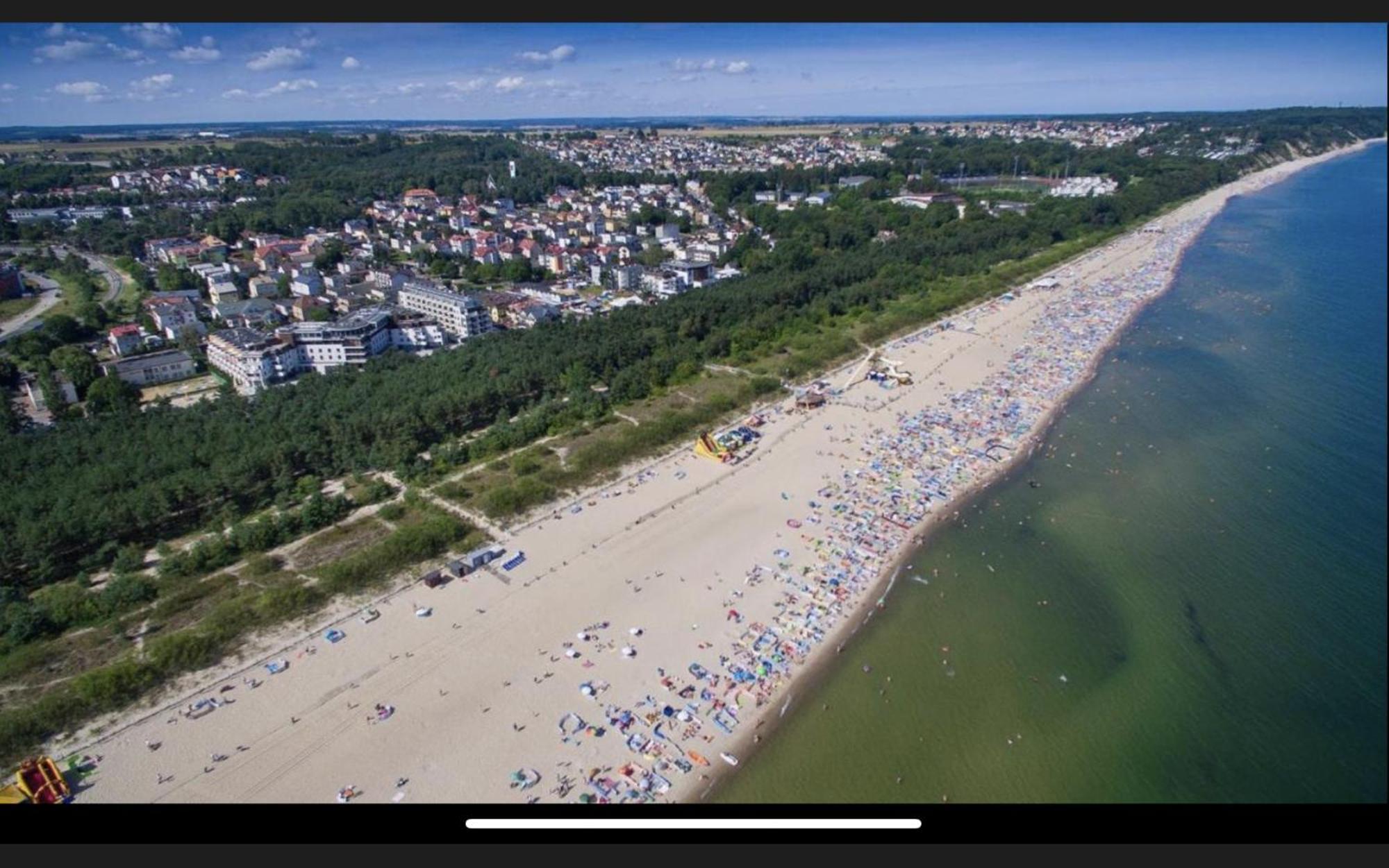 Stokrotka Wladyslawowo Bagian luar foto