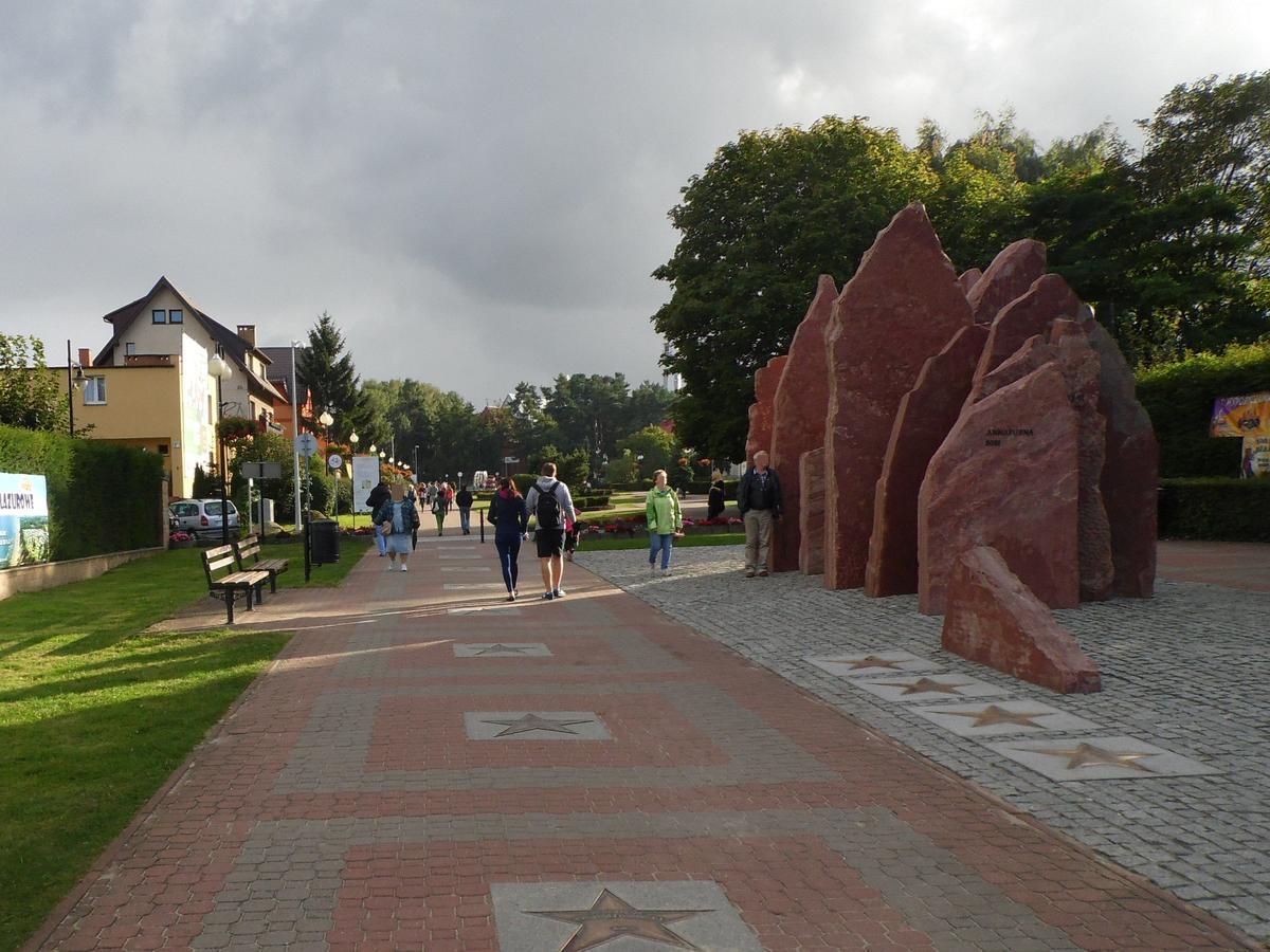Stokrotka Wladyslawowo Bagian luar foto