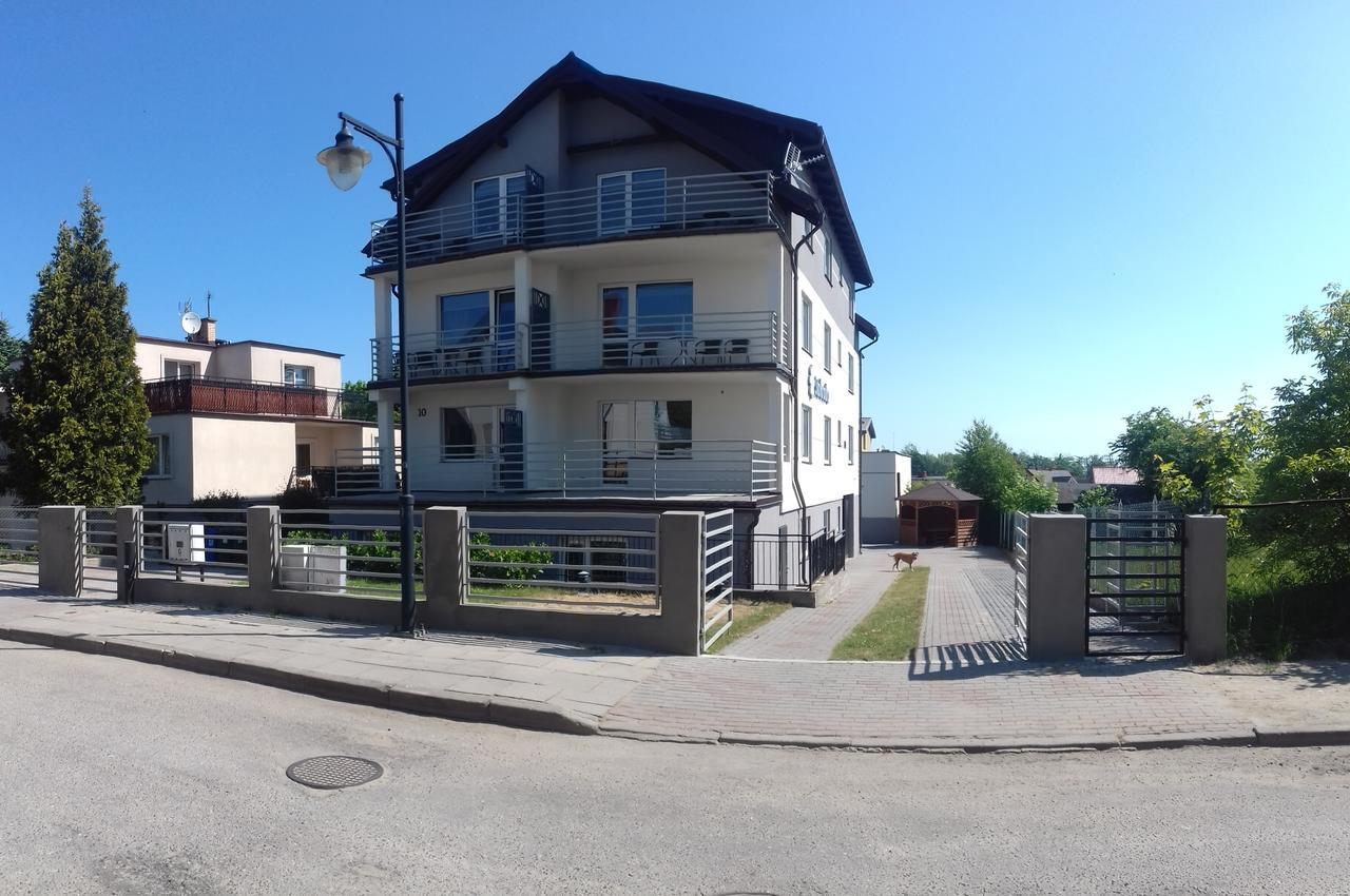 Stokrotka Wladyslawowo Bagian luar foto